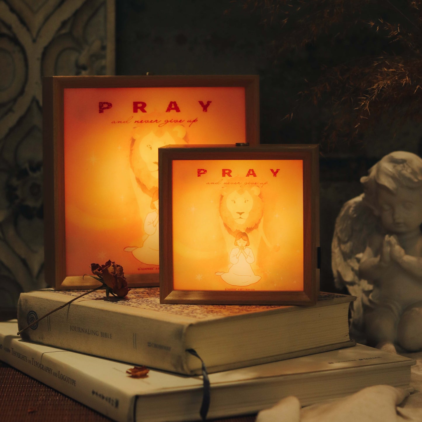 Agapass Light Painting II