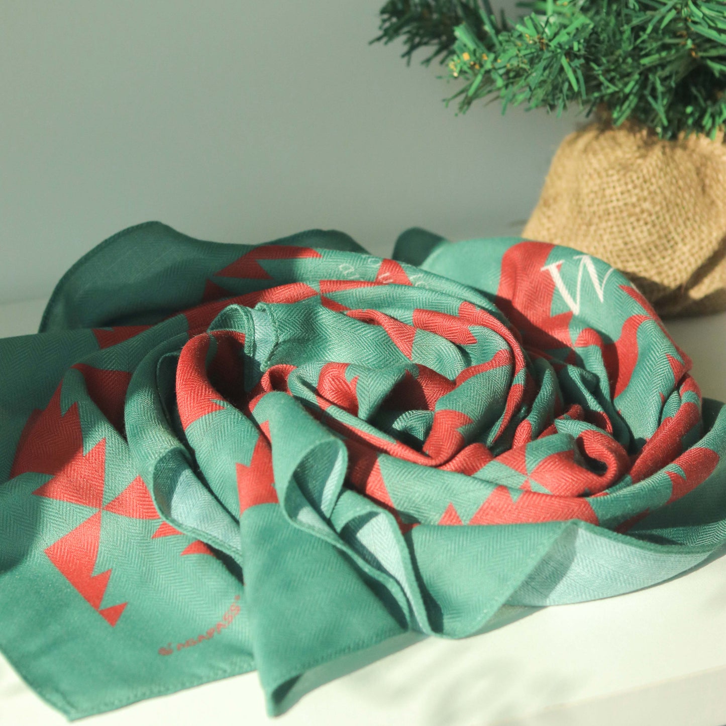 Agapass Velvet Scarf